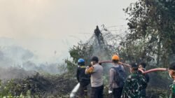 Karhutla 2 Hektare Melanda Sangatta Selatan, Tim Gabungan Padamkan Api hingga Malam