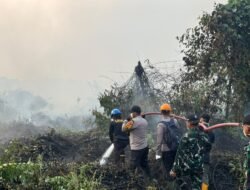 Karhutla 2 Hektare Melanda Sangatta Selatan, Tim Gabungan Padamkan Api hingga Malam