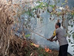 Kebakaran Lahan Alang-Alang di Cimalaka Berhasil Dipadamkan