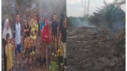 KEBAKARAN LAHAN SAWIT, MILIK WARGA DESA BENUA UTAMA KECAMATAN BENUA, PENYEBAB KEBAKARAN BELUM DIKETAHUI