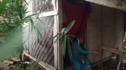 MIRIS! MA IJAH, 65 TAHUN, HIDUP SEBATANG KARA DI RUMAH REYOT: DI MANA HADIRNYA NEGARA?